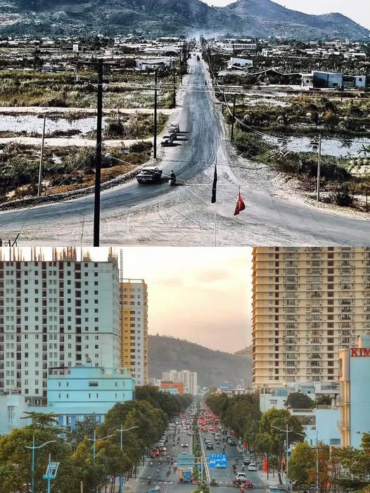 Biệt thự Đông Nam hẻm 53 Lê Hồng Phong 350m² giá 25.5 tỷ - Bớt lộc cho khách thiện chí!