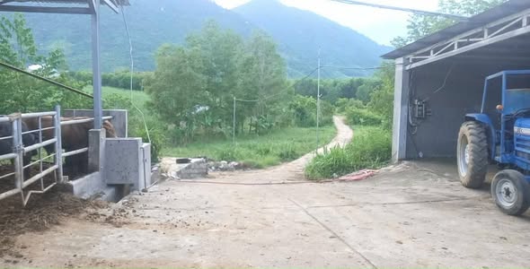 Đất trang trại 5ha Khánh Trung, Khánh Vĩnh giá 20 tỷ - Tiềm năng tăng giá cao!