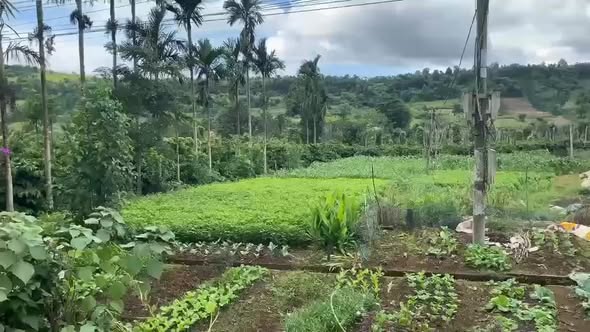 Đất Tỉnh Lộ 683 Đắk Sắk 500m² - Mặt Tiền Kinh Doanh Đẹp Giá 205 triệu!