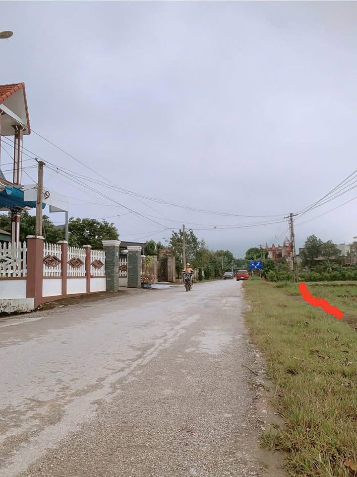 Đất nền thôn 13 Xuân Du, Triệu Sơn, Thanh Hóa 176m² - Vị trí kinh doanh đắc địa!