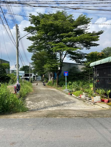 Đất Thới Hòa Bến Cát 110m² giá 1.19 tỷ - Sổ đỏ chính chủ giao ngay!