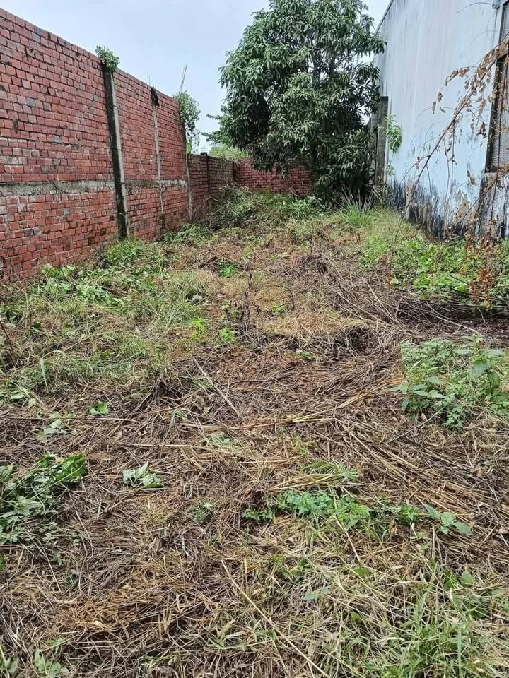 Đất thổ cư Bình Đại 135m² giá 600 triệu - Mặt tiền đường xe du lịch