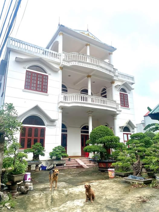 Nhà vườn cho thuê tại phố Lê Hồng Phong, Ninh Bình 500m² - Phù hợp nhiều loại hình kinh doanh!