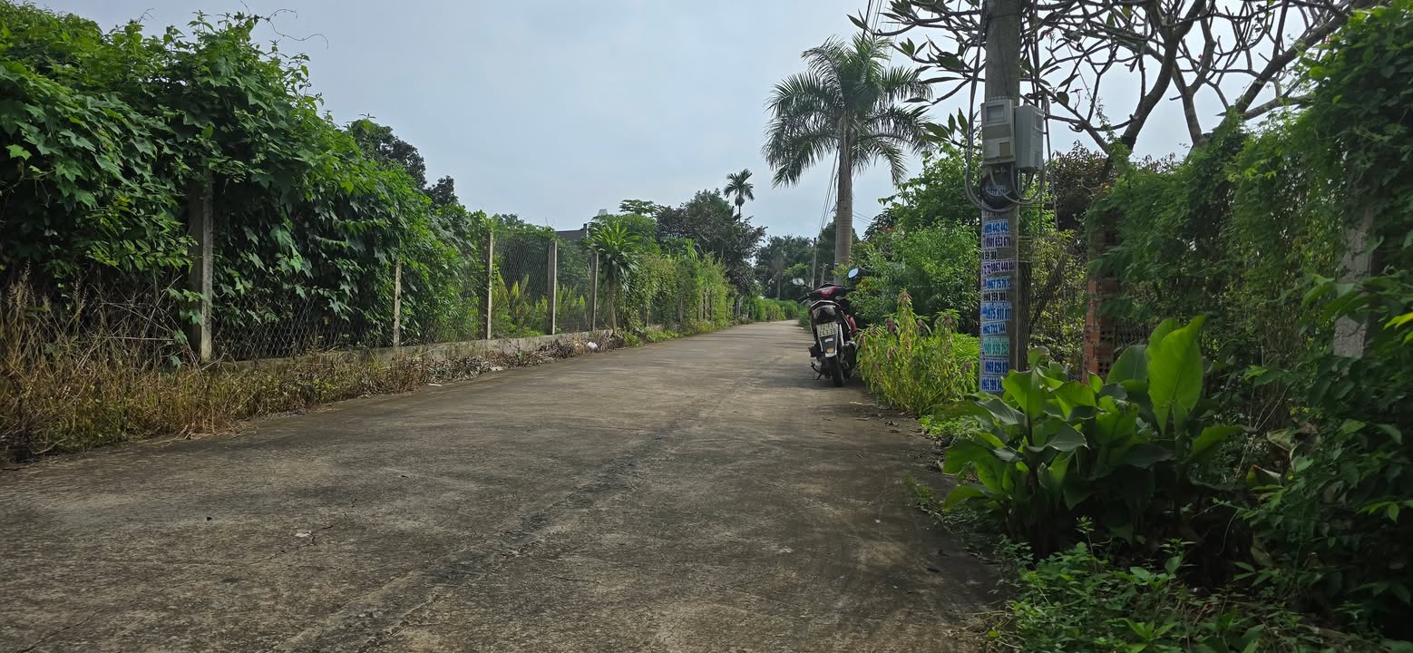 Đất nền Nghĩa Thành, Châu Đức 448m² giá 2 tỷ - Địa điểm vàng cho đầu tư