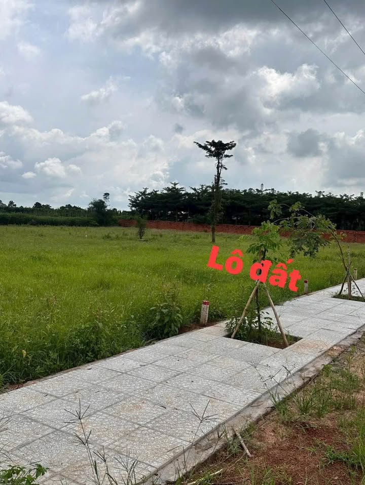 Đất thổ cư Nghĩa Thành, 128m² giá 695 triệu - Sổ đỏ chính chủ!
