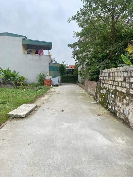 Lô đất 62m² phố Quang, phường An Hưng giá 1.15 tỷ - Đầu tư sinh lời ngay!