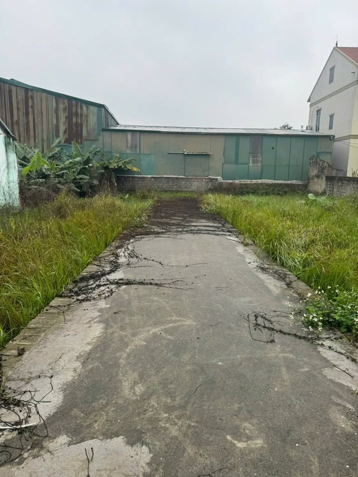 Đất Hồng Vân Thường Tín 45m² giá 2.3 tỷ - Chính chủ, ô tô vào tận nơi!