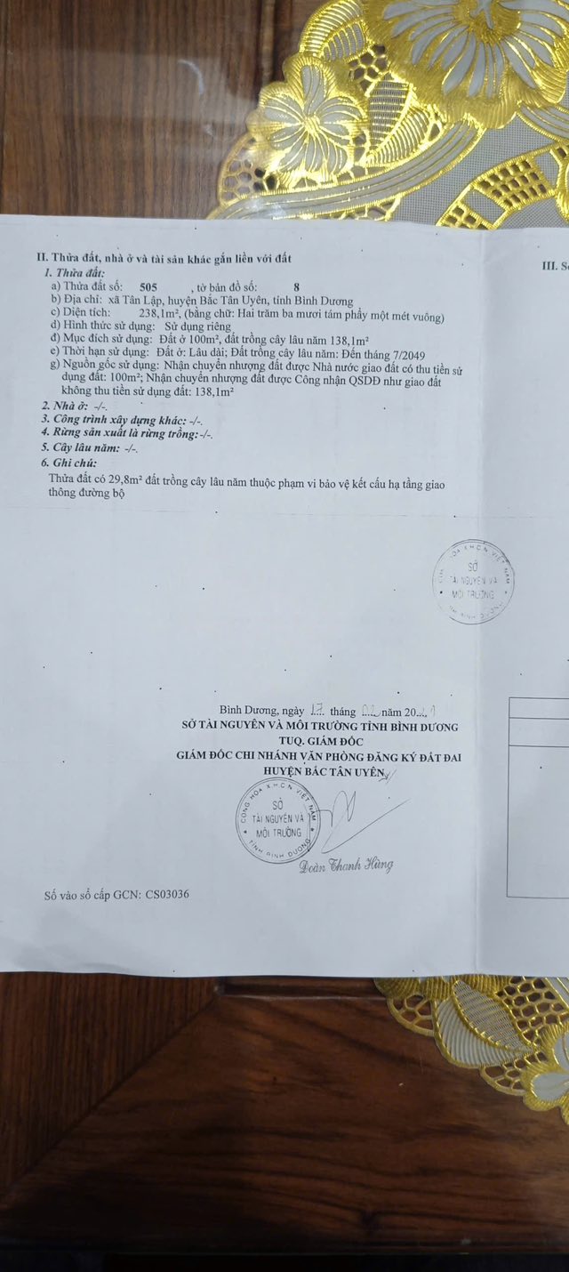 Đất thổ cư 240m² tại Đường Bêtông 07, Tân Lập - Cơ hội đầu tư kinh doanh tuyệt vời!