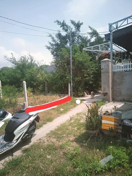 Đất nền Cam Phú 60m² giá 900 triệu - Đường 10m, pháp lý rõ ràng!