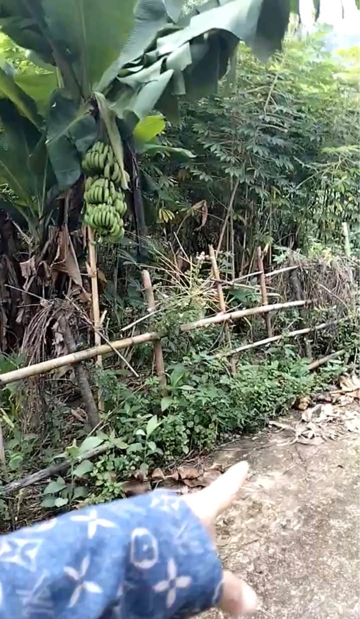 Đất thổ cư Hương Cần, Thanh Sơn 200m² giá 700 triệu - Đường rộng, dân cư đông!