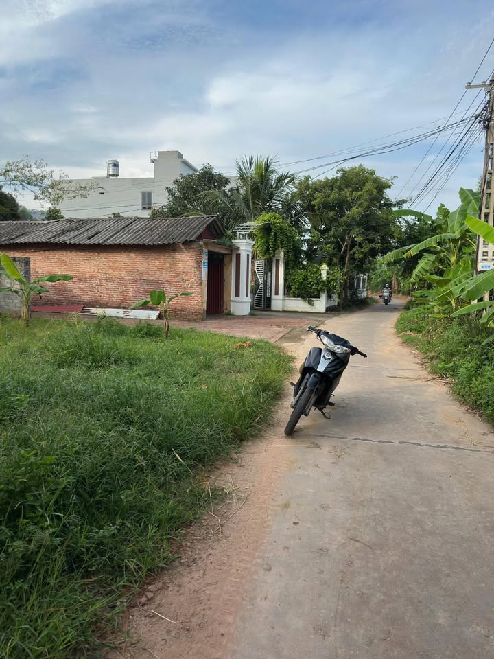 Đất nền Chu Điện, Lục Nam 225m² giá 2.3 tỷ - Đầu tư sinh lời ngay!