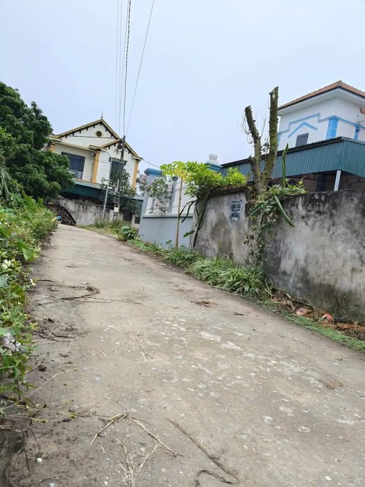 Đất nền 82.8m² Lê Xá, Dương Quang, Mỹ Hào chỉ 1.2 tỷ - Cơ hội đầu tư tuyệt vời!