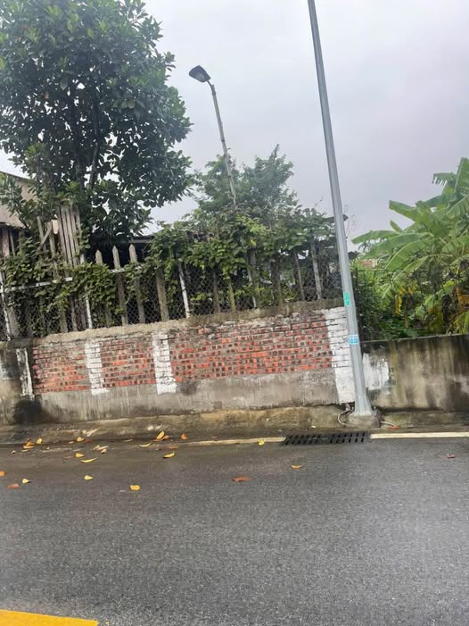 Đất thổ cư Đường Hào, Mỹ Hào 85m² giá 2 tỷ - Kinh doanh thuận lợi!