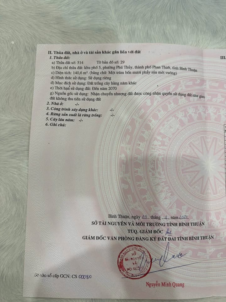 Đất nền Phú Thủy, Phan Thiết 263m² giá 2.6 tỷ - Cơ hội đầu tư hấp dẫn!