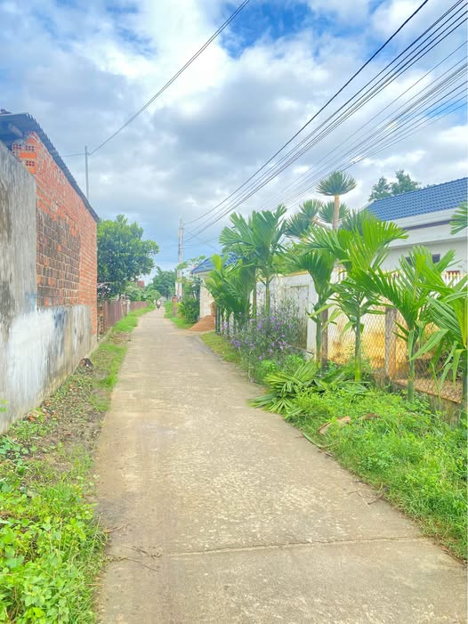 Đất thổ cư xã Phước Hiệp 72m² giá chỉ 350 triệu - Tiềm năng đầu tư lớn!