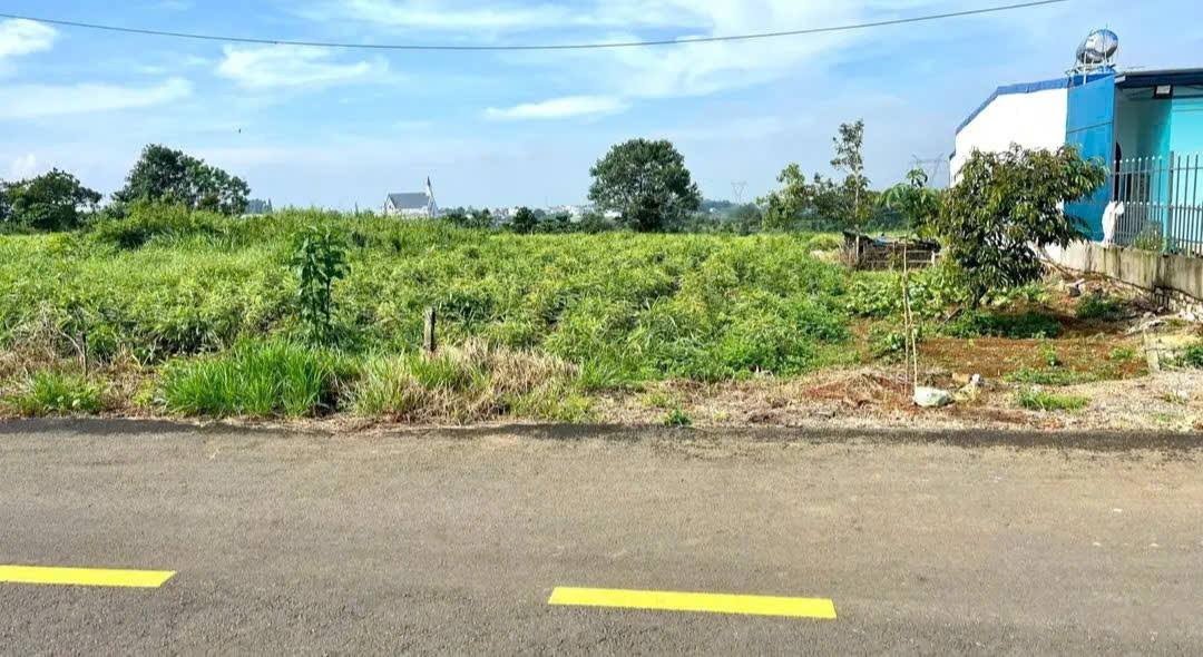 Đất nền liền kề mặt tiền Nguyễn Trãi, Bảo Lộc 162m² giá 2.1 tỷ - Cơ hội đầu tư hấp dẫn!