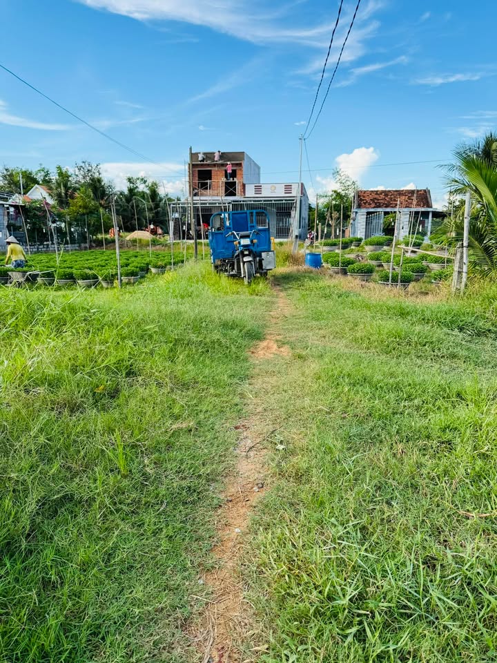 Đất nền Tân Định - Diên Khánh 123m² giá 479 triệu - Đường ô tô vào tận nơi!