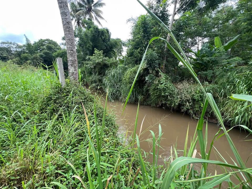 Đất nền Khánh Xuân 1 sào giá 1.8 tỷ - View suối mát mẻ quanh năm!