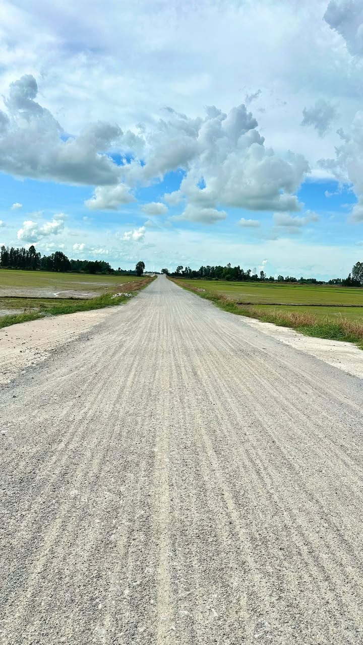 Đất vườn tại Giục Tượng, Châu Thành, Kiên Giang 1604m² giá 1.23 tỷ - Mặt tiền rộng, điện đã có sẵn!