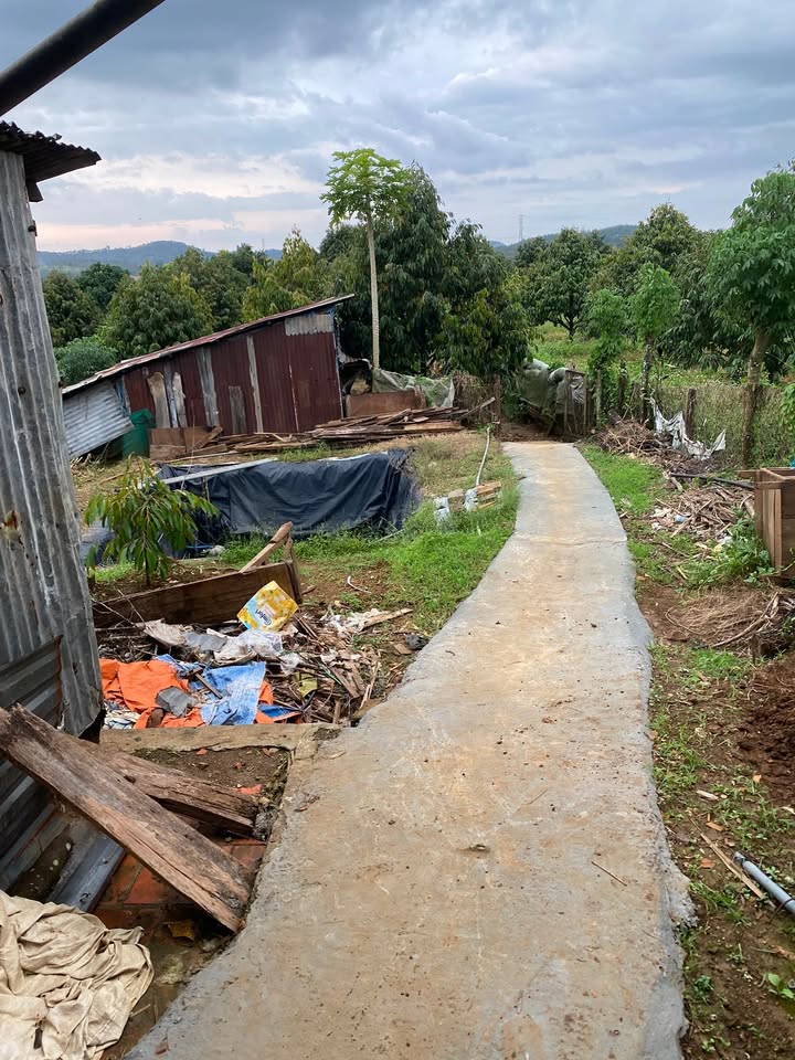 Farm Bù Đăng 1600m² - Cơ hội đầu tư tuyệt vời với vườn cây ăn trái ấn tượng!