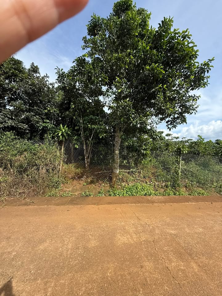 Đất nền Lộc Đức, Bảo Lâm 2400m² giá 3.25 tỷ - Đường liên xã rộng rãi!