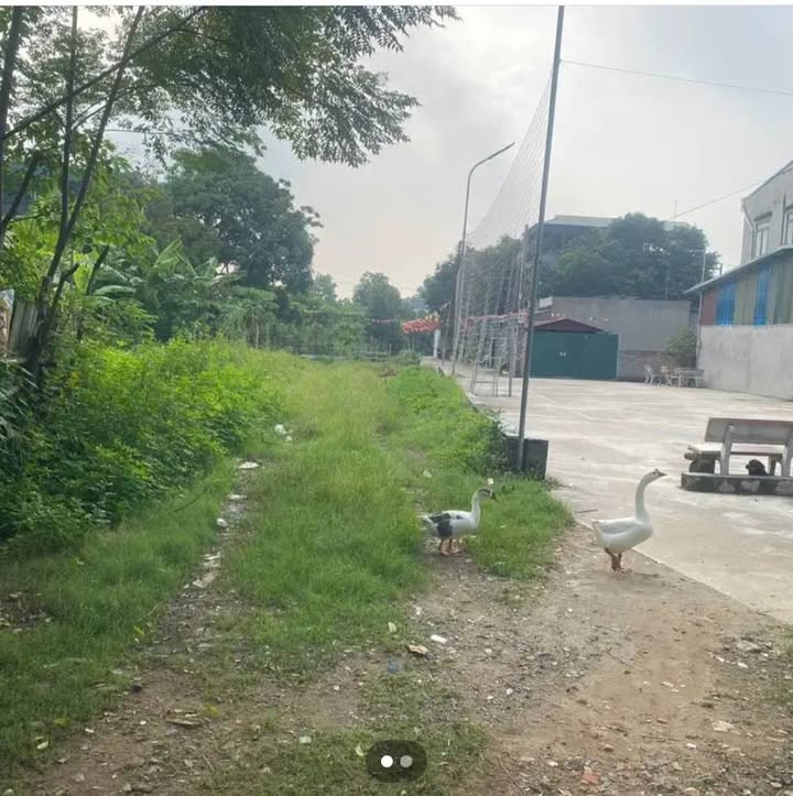 Đất nền chính chủ tại Hồng Hà 2, Việt Trì 72m² giá 1.9 tỷ - Đầu tư sinh lời ngay!