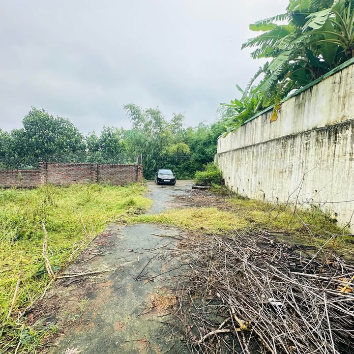 Đất thổ cư 94m² tại Hy Cương, Việt Trì - Giá chỉ 700 triệu, sổ đỏ chính chủ!