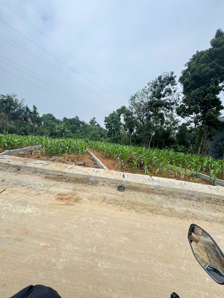 Đất thổ cư 102m² tại Khu phố 13, Xuân Lũng, Lâm Thao - Giá 1.2 tỷ VND, cơ hội đầu tư tuyệt vời!