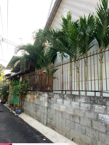 Đất thổ cư hẻm 226, đường số 8, Linh Xuân 53.3m² giá 3.75 tỷ - Đầu tư sinh lời ngay!