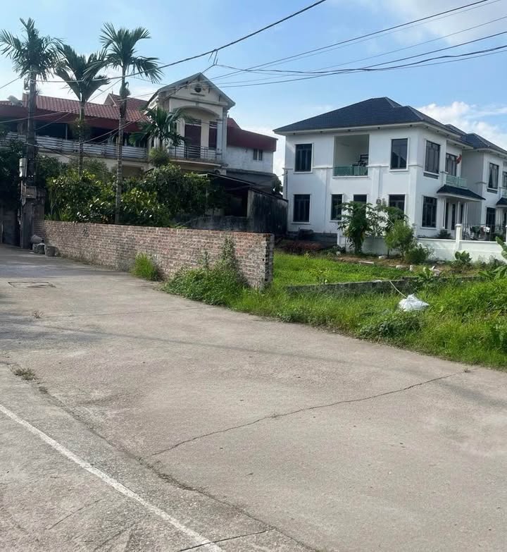 Đất nền 330m² phường Thanh Miếu giá 4 tỷ - Tiềm năng đầu tư lớn!