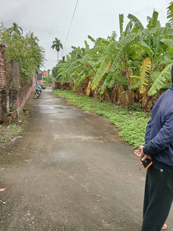 Đất thổ cư Cẩm Hoàng, Cẩm Giàng 87m² giá chỉ 700 triệu - Cơ hội đầu tư tuyệt vời!