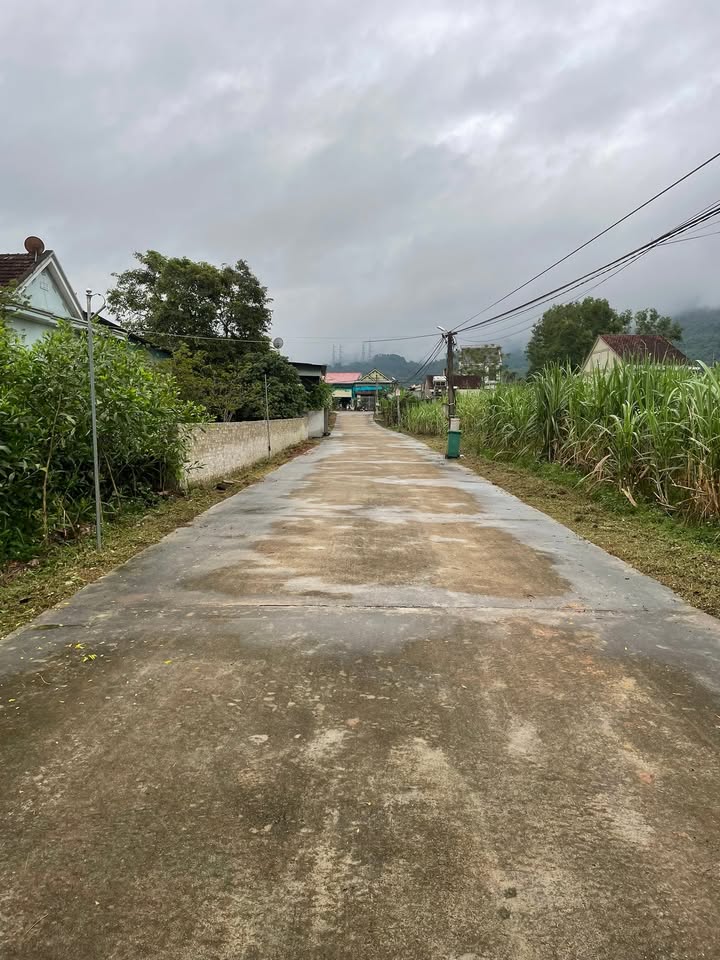 Đất nền Nghĩa Hội Nghĩa Đàn 259m² giá chỉ 8xx triệu - Cơ hội đầu tư tuyệt vời!