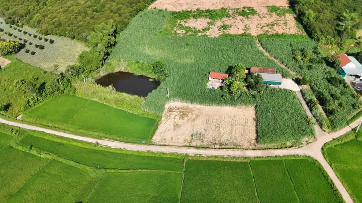 Đất nền Tân Thắng Quỳnh Lưu 168m² giá 200 triệu - Cơ hội đầu tư tuyệt vời!