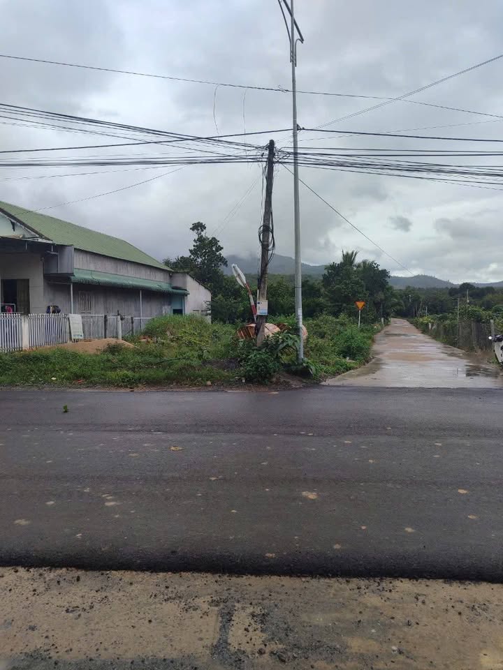 Đất lô góc mặt tiền TL9, Sơn Bình, Khánh Sơn - Địa điểm kinh doanh lý tưởng chỉ 3.2 tỷ!