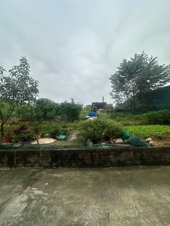 Lô đất Việt Trì 116.8m² giá chỉ 2xxx - Cơ hội đầu tư sinh lời cao!