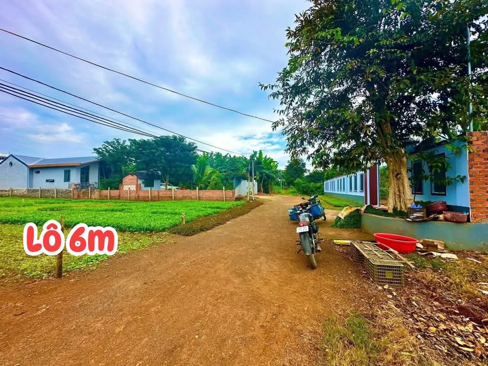 Đất nền khu nhà vườn Eatling Đắk Nông 240m² giá 720 triệu - Bớt lộc cho người thiện chí!