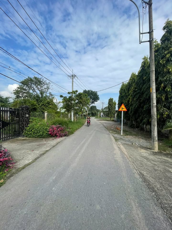 Đất thổ cư 105m² Thái Mỹ, Củ Chi - Giá 1.28 tỷ, mặt tiền 8m, đầu tư sinh lời!