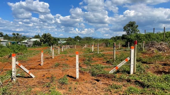 Đất nền mặt tiền Bùi Dự, Pleiku 150m² giá 1.1 tỷ - Cơ hội vàng đầu tư!