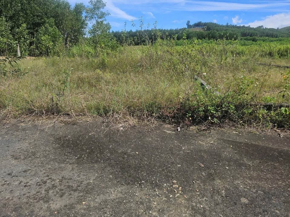 Đất thổ cư Diên Tân, xã Diên Thọ, giá 350 triệu - Cơ hội đầu tư hấp dẫn!