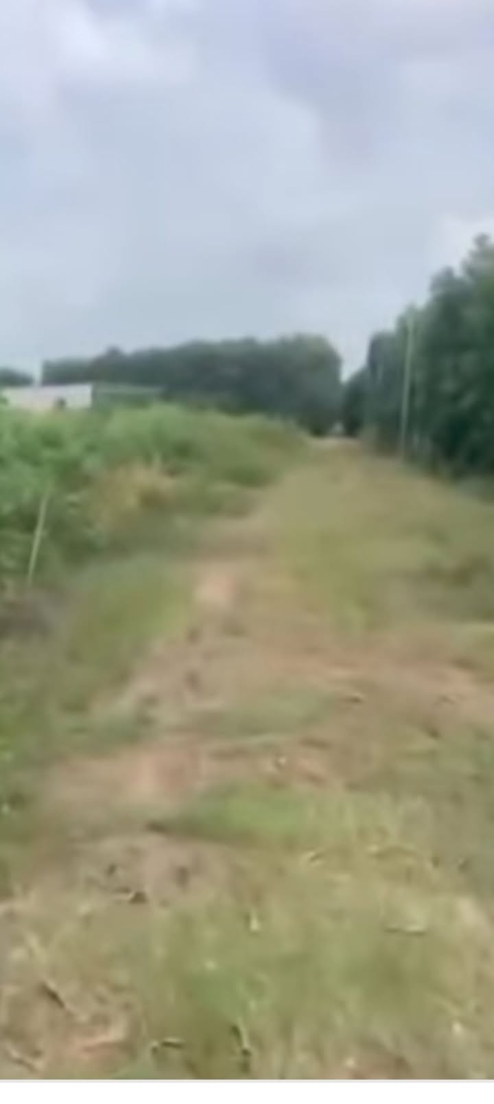 Đất nền 1.2 sào Xuân Trường giá chỉ 290 triệu - Tiềm năng đầu tư cao!