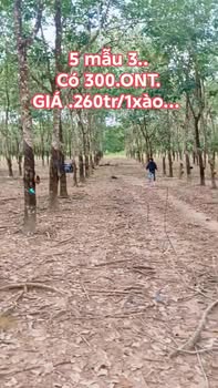 Đất nền Xuân Thành, Xuân Lộc 53,000m² giá 3.7 tỷ - Tiềm năng đầu tư sinh lời!