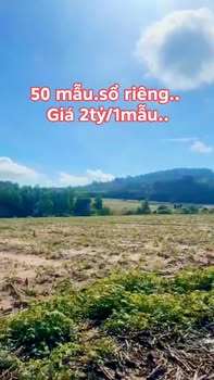 Đất trang trại gà 50ha tại Suối Kiết, Tánh Linh chỉ 2 tỷ - Cơ hội đầu tư hấp dẫn!