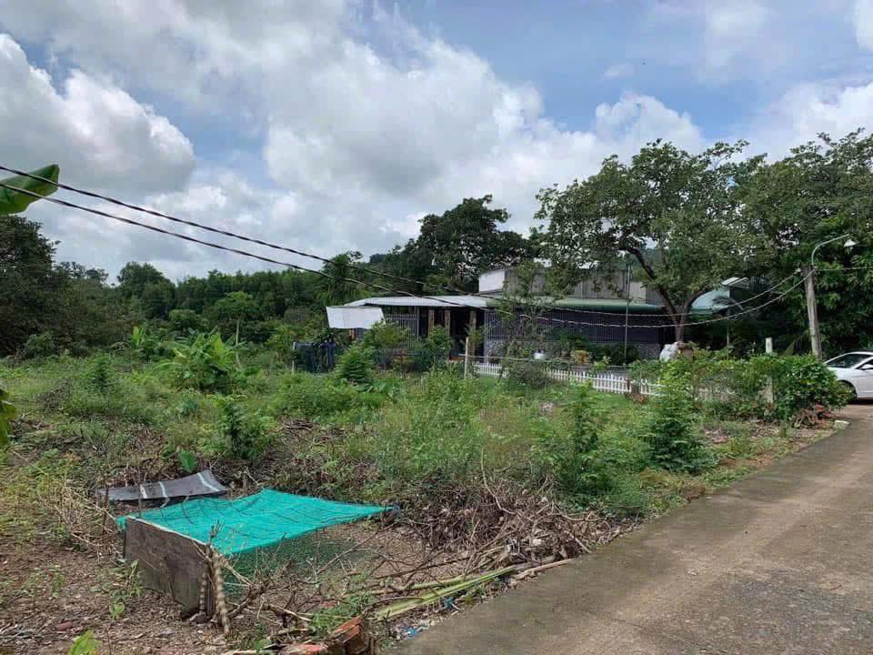 Đất nền khu phố 4, thị trấn Gia Ray 520m² chỉ 5.2 tỷ - Tiềm năng sinh lời cao!