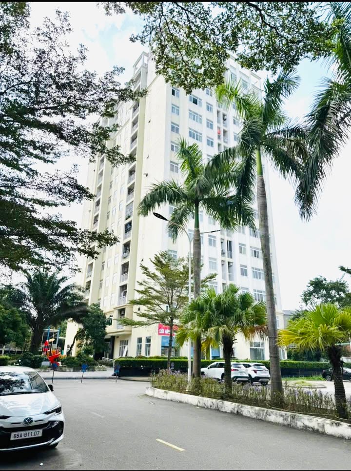 Đất nền đường Phan Chu Trinh Vĩnh Yên 100m² giá 5 tỷ - Kinh doanh sầm uất và tiềm năng!