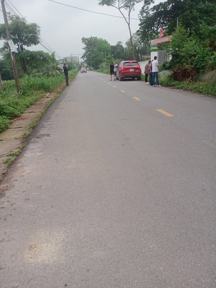 Đất phân lô Yên Thạch, Sông Lô 100m² giá 1.6 tỷ - Đầu tư sinh lời ngay!