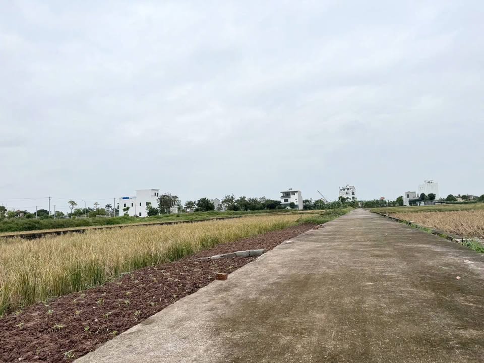 Đất nền Kiến Xương 95m² giá 500 triệu - Cơ hội đầu tư sinh lời!