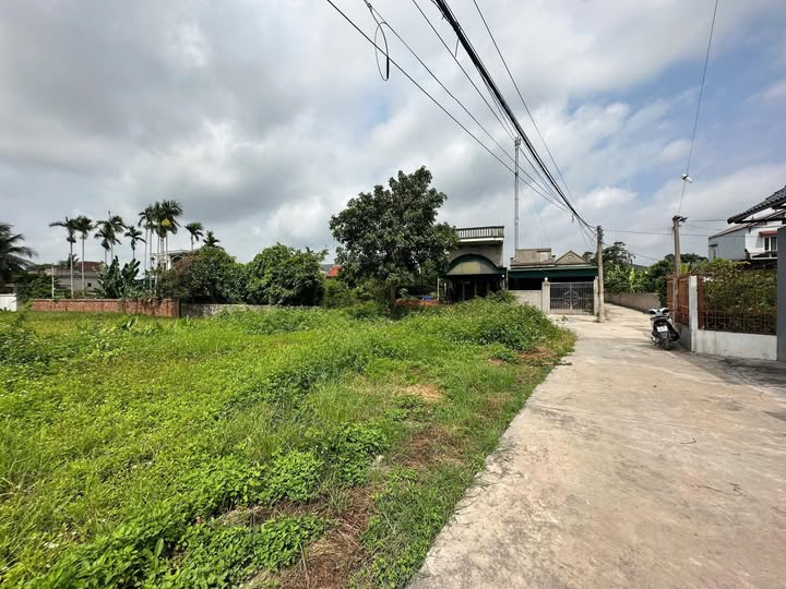 Đất nền Mạo Khê 162.3m² giá 700 triệu - Hướng Đông thoáng mát