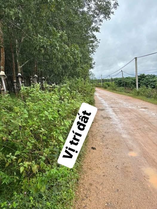 Đất nông nghiệp Thôn Gia Hội, Kon Tum 11710m² - Chính chủ bán gấp!