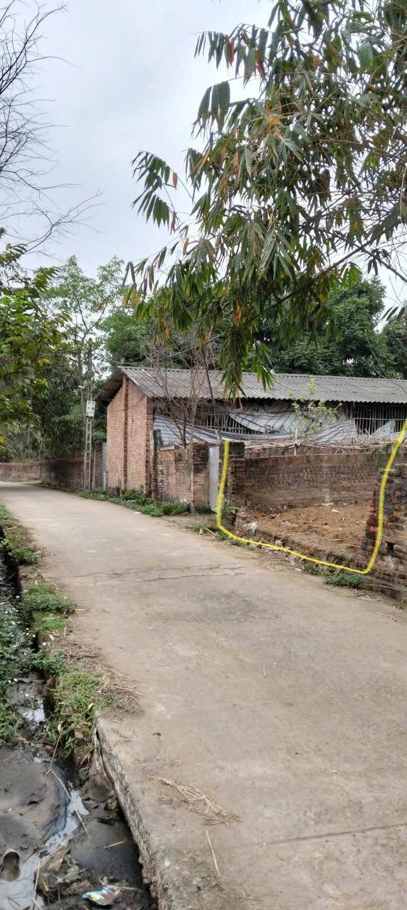 Đất thổ cư Hướng Đạo, Tam Dương 146m² giá 1.3 tỷ - Đường rộng, vị trí đẹp!