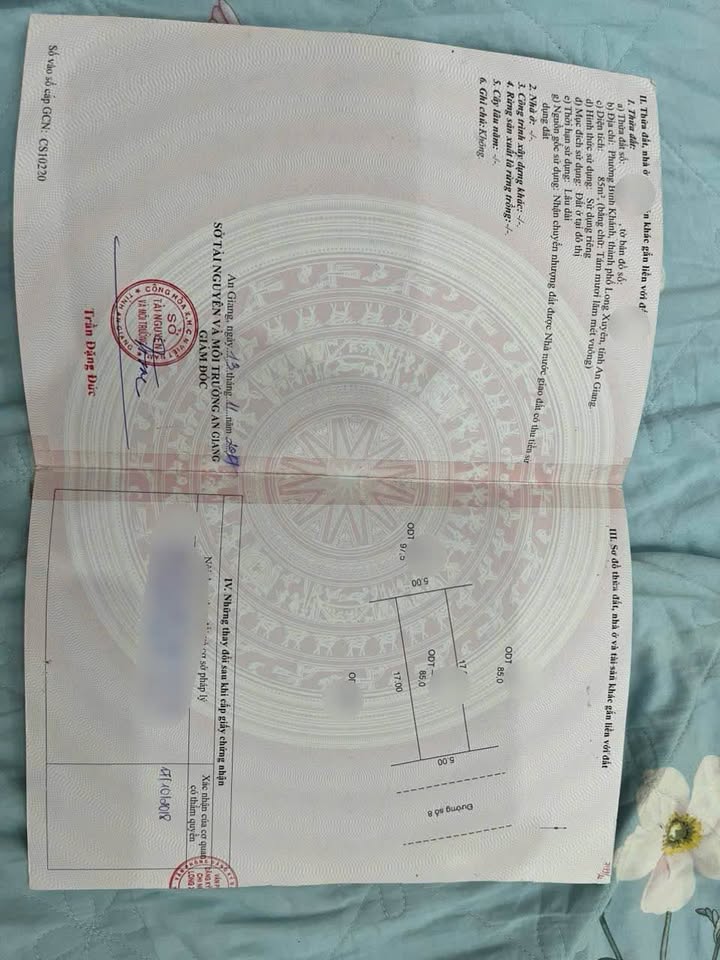 Đất nền ĐS8 Sao Mai, Bình Khánh, Long Xuyên 85m² giá 1 tỷ - Tiềm năng kinh doanh lớn!